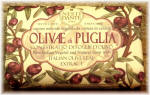 Olivae Puglia